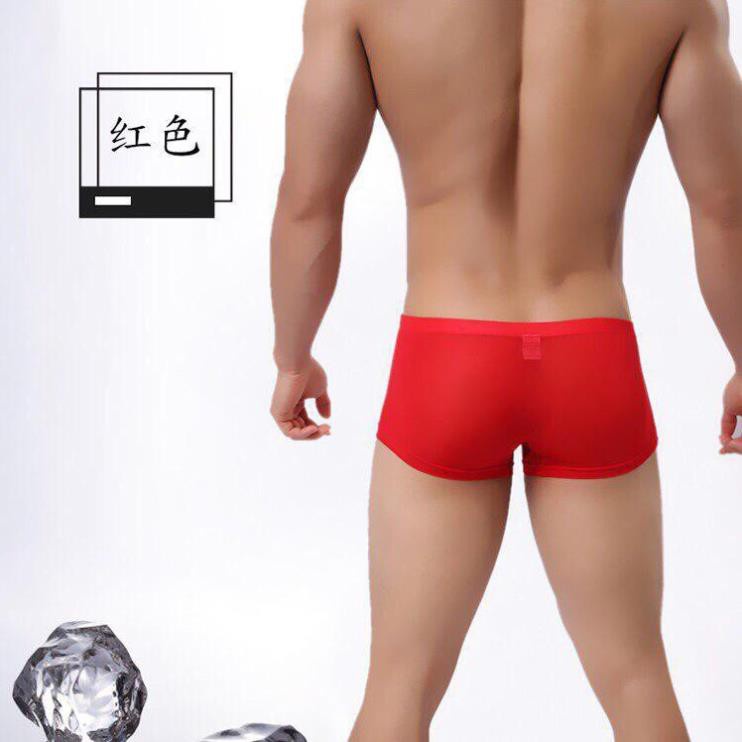 Quần lót nam tam giác cao cấp chất liệu thun cotton, Quần sịp nam tam giác thun lạnh co dãn 4 chiều - 543