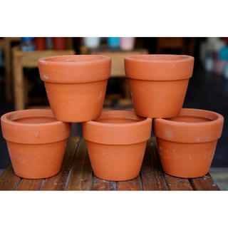 Combo 10 Chậu đất nung trắng, đỏ gạch size 10cm