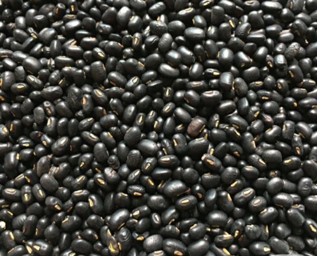 ĐẬU ĐEN XANH LÒNG