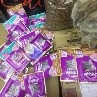 Patê Whiskas gói 85g