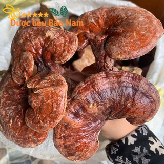 Nấm linh chi đỏ Tây Bắc khô, sạch sẽ 1kg