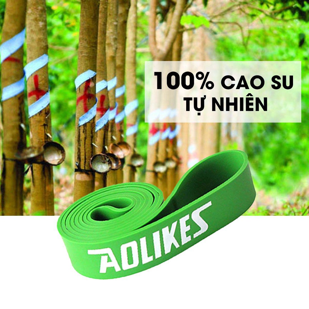 Dây Kháng Lực Tập Gym Power Band Aolikes Đa Năng Hỗ Trợ Tập Luyện
