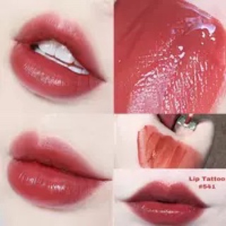 Son Dior Addict Lip Tatoo Màu 421-541-321 /Gom Oder