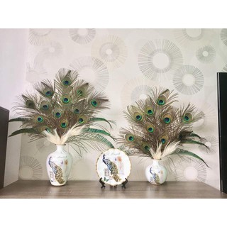 lông công phong thủy