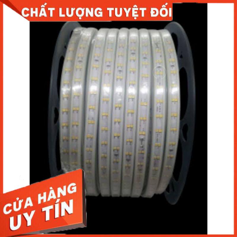 1 cuộn dài 90m dây led 2835 2 hàng led 220v