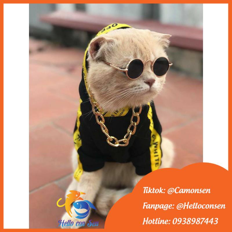 Kính mát cho chó mèo phụ kiện thời trang phối với quần áo chó mèo sành điệu