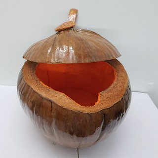 Vỏ đựng bình trà trái dừa chiếc lá