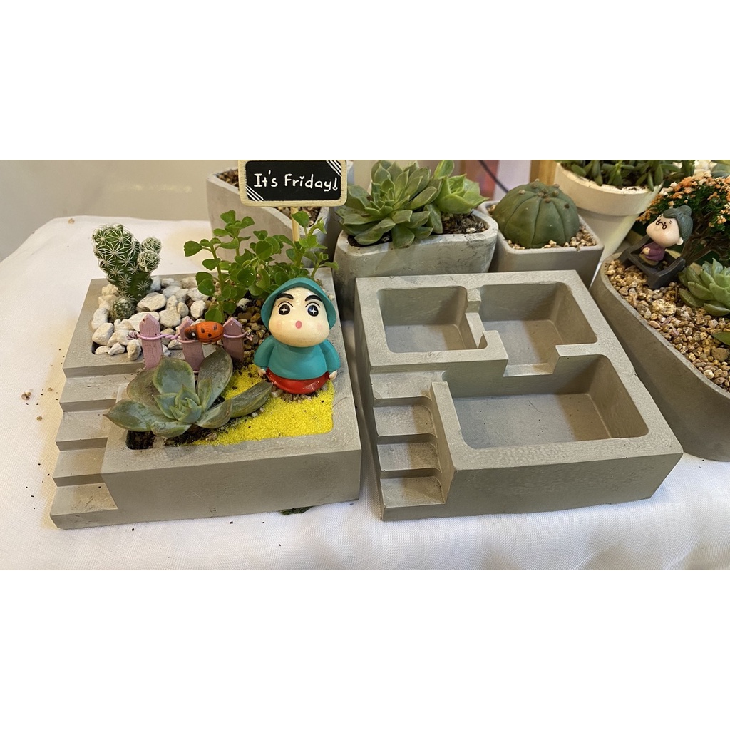 Chậu cây sen đá hình hồ bơi bậc thang