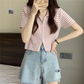 Áo dệt kim ngắn tay crop