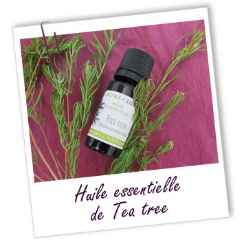 Tinh dầu Tea tree AROMA ZONE- Melaleuca alternifolia