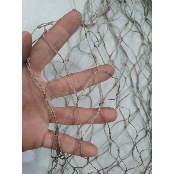 Lưới lụp cu gáy