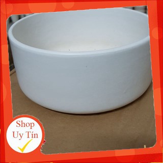 Chậu sứ trụ lùn lớn🔥 |FREESHIP 🌺 SIÊU XINH | LỖI 1 ĐỔI 1