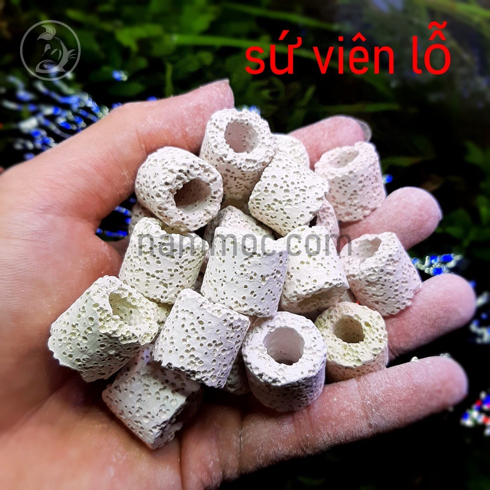 [100gr] Sứ Viên Trắng | Sứ Lỗ Trắng - Vật liệu lọc nước cho bể cá cảnh, bể thuỷ sinh