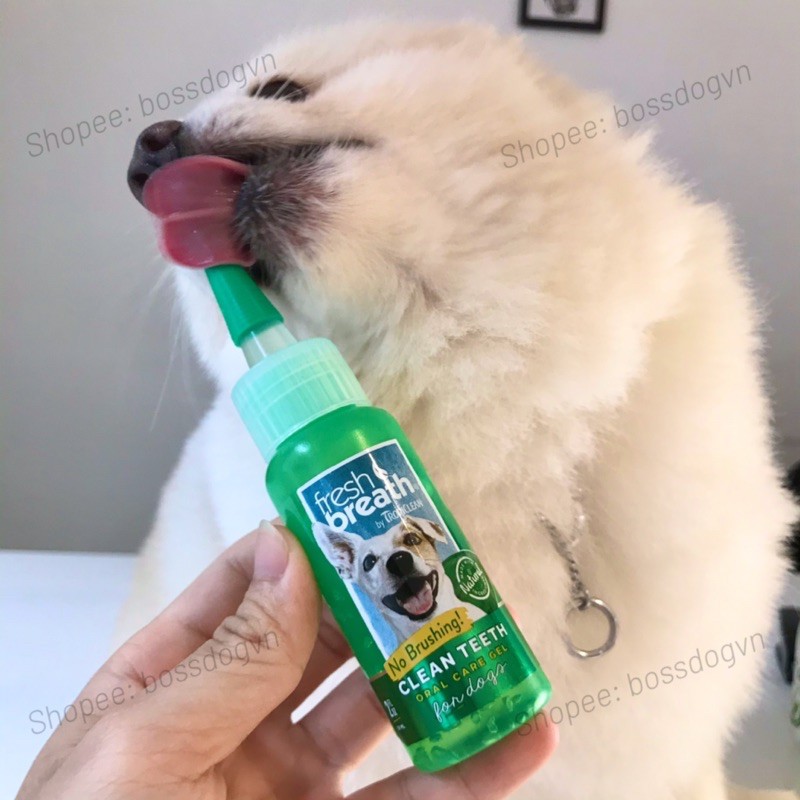 Gel vệ sinh răng chó cưng_Ngăn mảng bám_Hơi thở cún thơm mát - Tropiclean Fresh Breath Clean Teeth Oral Care| BossDog