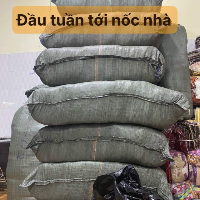 Ngochuong01696027477