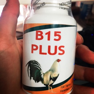 B15 plus hộp 100 viên dinh dưỡng giúp gà lên bo lê thể lực 1 tuần chơi được