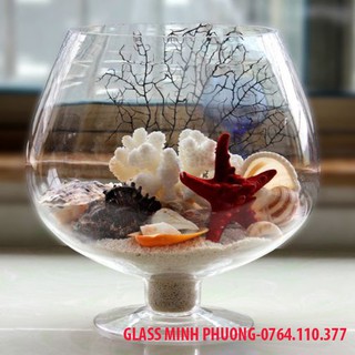 BÌNH THỦY TINH NUÔI CÁ ĐỂ BÀN,CHẬU CÁ THỦY TINH MINI,BÌNH THỦY TINH TRỒNG CÂY THỦY SINH