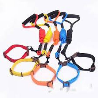 Bộ Dây Dắt Cao Cấp Siêu Êm Ái Cho Thú Cưng loại cổ tròn 2 size