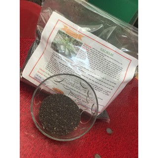 Hạt Mã Đề 500gr (Xa Tiền Tử) - 100% Chất Lượng - Dược Liệu Thanh Bình