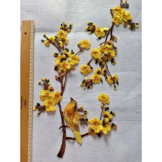 Hoa mai bộ 01