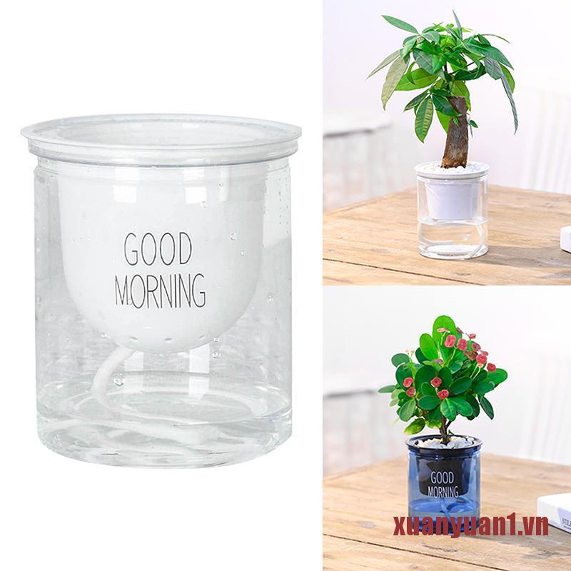 Chậu Hoa Trong Suốt Tự Tưới Nước Tiện Dụng