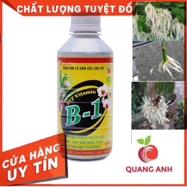 VITAMIN B1 HVP Phân bón lá đậm đặc cao cấp cho Hoa Lan và các loại cây cảnh