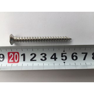 10 chiếc vít inox 304 phi 6 dài 6cm