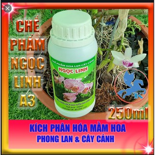 Chế Phẩm Ngọc Linh A3 250cc | kích thích phân hóa mầm hoa