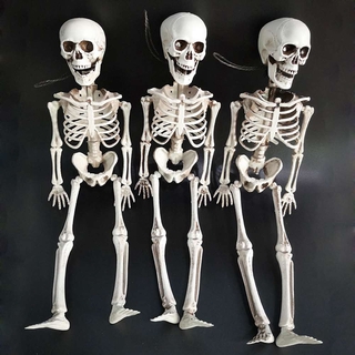 Bộ Xương Khô Trang Trí Halloween
