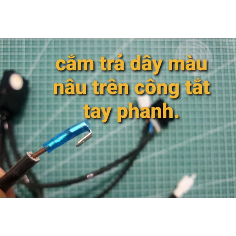 Mạch Auto Passing mọi dòng xe