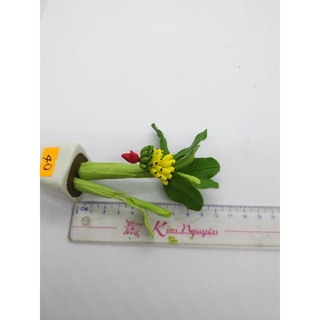 CHẬU CHUỐI , ĐU ĐỦ ĐẤT SÉT
