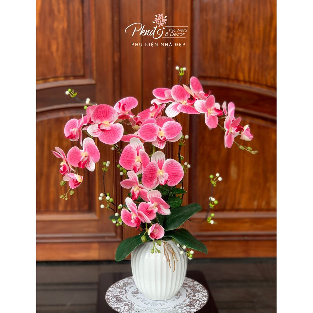 Chậu Lan Cao Su 3 Cành kết hợp hoa tiểu cảnh sang trọng - Nhiều màu sắc PKND FLOWERS &amp; DECOR CH98