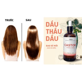 Dầu Thầu Dầu Castor Oil Ủ Tóc dưỡng tóc mọc tóc  - MIRAPHEPMAU
