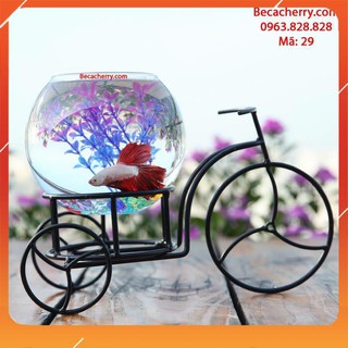 Giá Đỡ Bể Cá Mini Xe Đạp