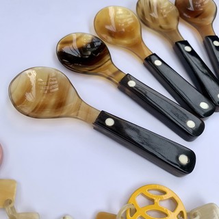Thìa/Muỗng bằng sừng xuất Nhật - khảm hai chấm xúc gia vị siêu sạch - CTH785