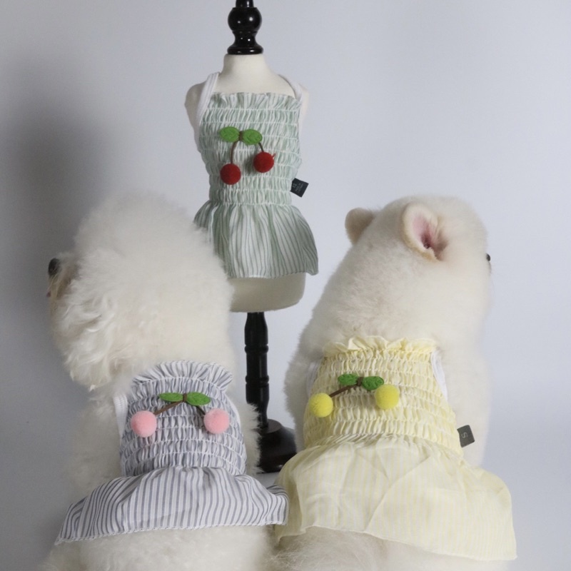 Đầm nhúng basic cho boss