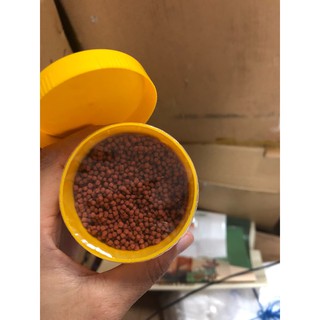 Thức ăn cá vàng, cá ba đuôi, cá nước lạnh hãng SERA-ĐỨC