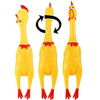 Gà a lử bóp kêu cỡ to 41cm