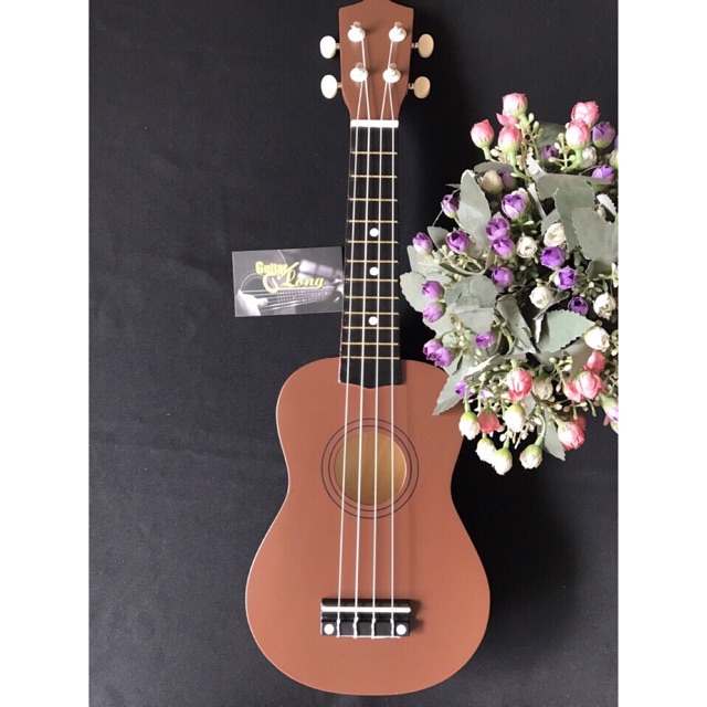 Đàn ukulele NT340