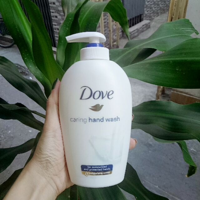 Combo 2 chai sữa rửa tay Dove 250ml