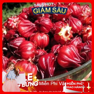 Hạt giống atiso đỏ - 10 hạt / gói