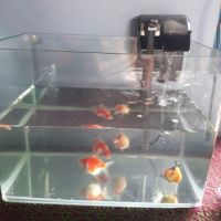 Lọc thác dành cho hồ mini và bông lọc