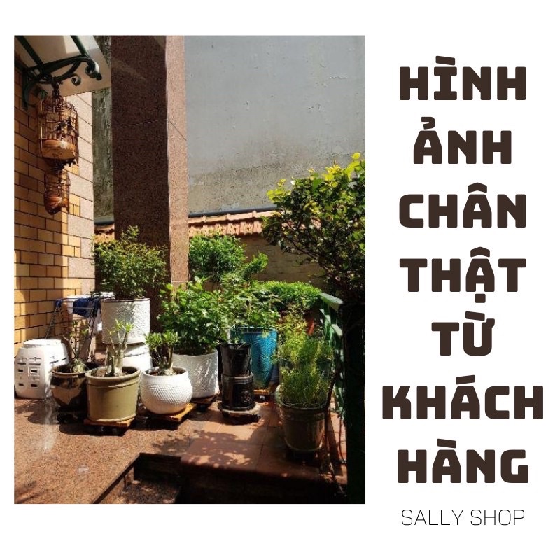 Đế gỗ để châu cây có 4 bánh xe- kệ giá đỡ chậu cây hoa cây cảnh.