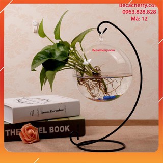 Bể Cá Mini Để Bàn C33 12 Cỡ To ( Tặng kèm combo phụ kiện trang trí )