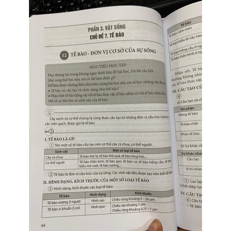 Sách - Để học tốt khoa học tự nhiên 6
