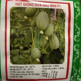Hạt giống Dưa hấu mini F1 (10H/ gói)