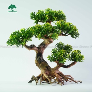 Lũa Bonsai, Lũa thủy sinh dùng trang trí hồ cá cảnh, hồ thủy sinh, văn phòng, nhà cửa (PLASTIC/10)