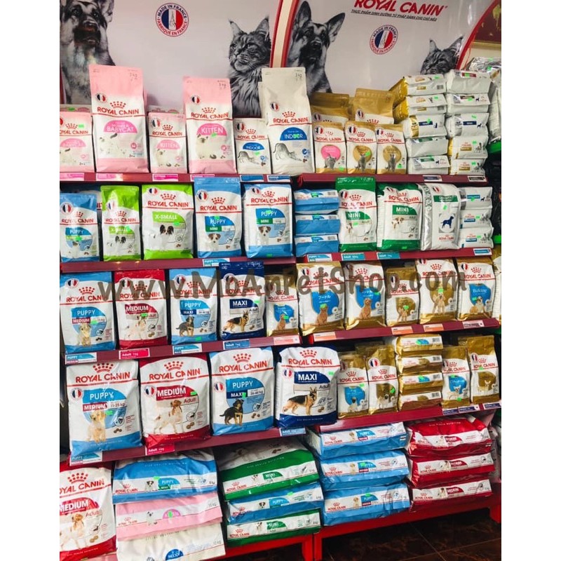 Royal canin các loại hạt poodle, mini , medium , maxi puppy / adult