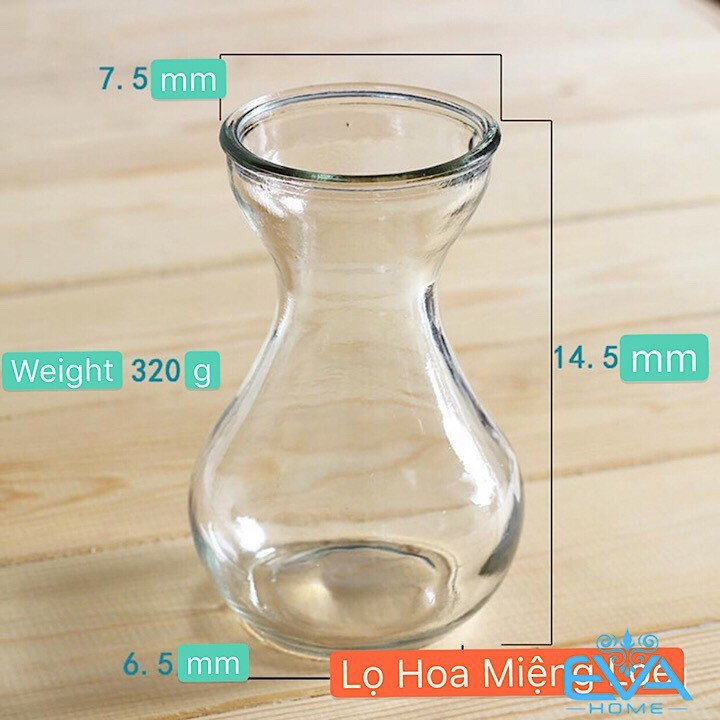 Lọ thủy tinh miệng loe trồng cây thủy sinh cao 14cm, miệng rộng 7.5cm (không bao gồm cây và phụ kiện trang trí bình)