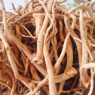 Combo 2kg rễ đinh lăng khô
